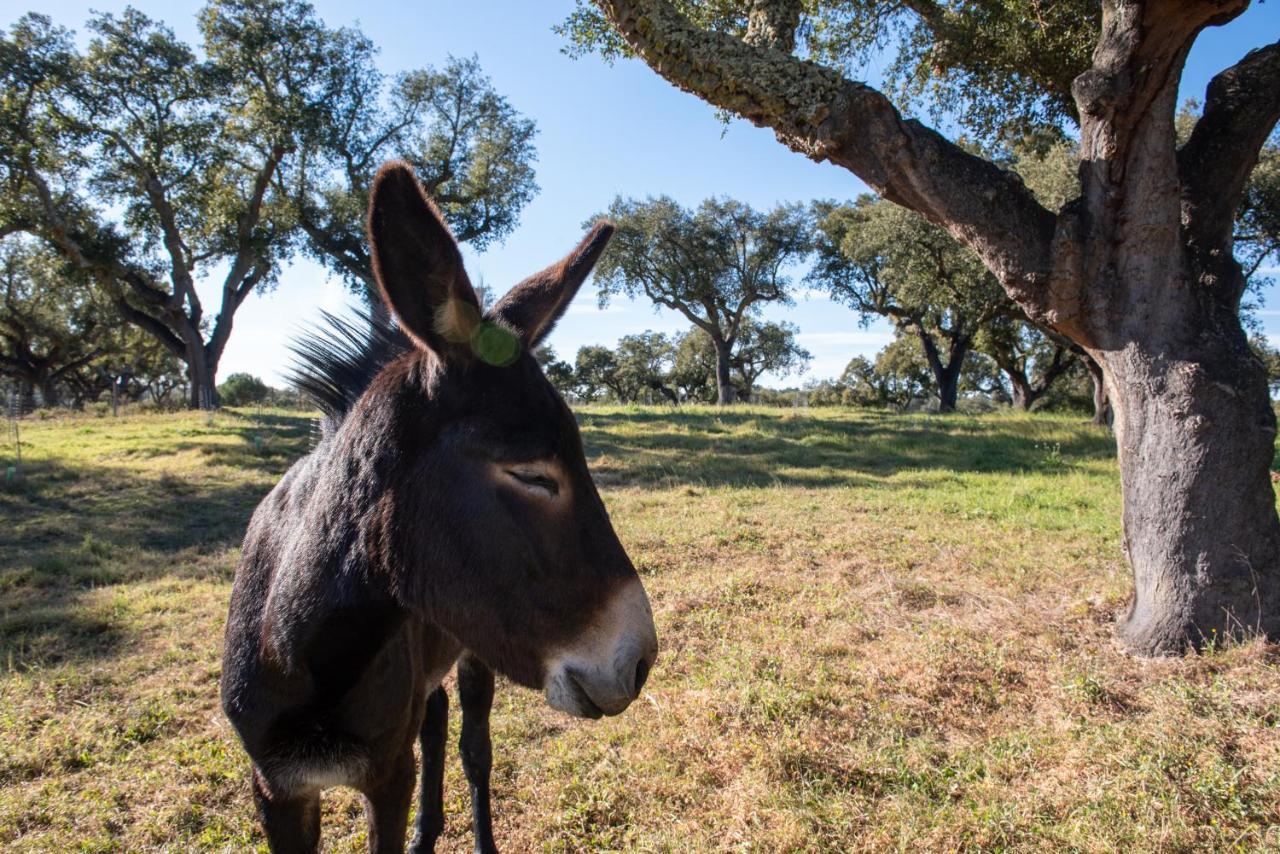 Herdade Das Onzenas De Cima Couco Bagian luar foto